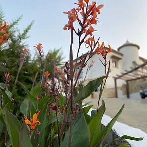 Gasthuis Sunshine Countryside, Frigiliana